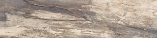 Emil Ceramica Petrified Tree керамогранит Beige Bark Naturale Rett. 90*22.5