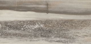 Emil Ceramica Petrified Tree керамогранит Grey Panther Core Lappato Rett. 59*29.4