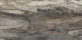 Emil Ceramica Petrified Tree керамогранит Grey Bark Naturale Rett. 60*30