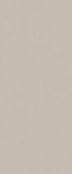 Настенная плитка Fossil Matt 50*120*8.5