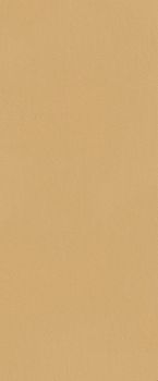 Настенная плитка Caramel Matt 50*120*8.5