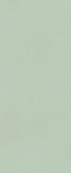 Настенная плитка Matcha Matt 50*120*8.5