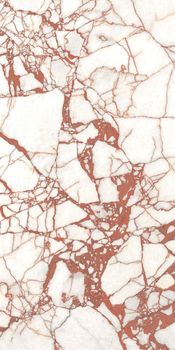 Flaviker Supreme Hedonism керамогранит Calacata Dante Nat P.Tech 60*120*8.5