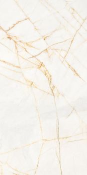 Flaviker Supreme Hedonism керамогранит Golden Spider Nat P.Tech 60*120*8.5