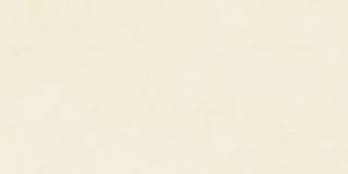 Neodom Design Colors керамогранит Blossom Salix Matt 60*120*9