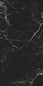 APE Night Lux керамогранит Night Lux Pol 60*120*8.8