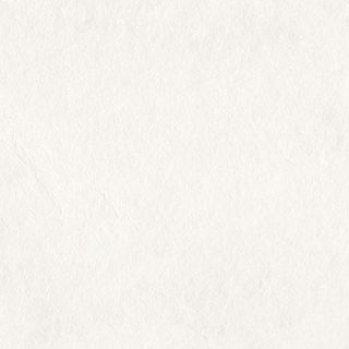 Ecoceramic Southrim керамогранит Bone 60*60*9