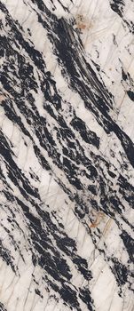 Florina Ceramics Slab керамогранит Nero Cosmos honed 120*278*6