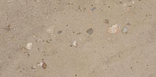 Fioranese I Ciottoli керамогранит Sabbia Argilla Mat 30.2*60.4*9