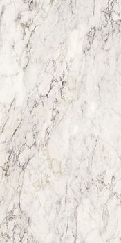 La fabbrica Breccia Capraia керамогранит Breccia Capraia Lap 60*120*8.8