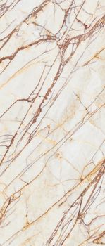 La fabbrica Bianco Imperiale керамогранит Bianco Imperiale Lap 120*280*6