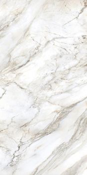 Bluezone Marmi Di Carara керамогранит Marmi Di Carara A 60*120*9