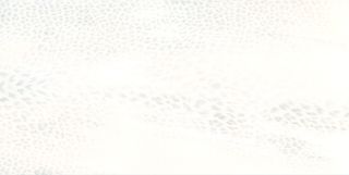 Roberto Cavalli Giaguaro Mask керамогранит Bianco Rett. Lapp. 120*60