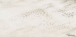 Roberto Cavalli Giaguaro Mask керамогранит Bianco Firma Rett. Lapp. 120*60