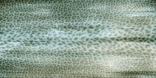 Roberto Cavalli Giaguaro Mask керамогранит Nero Rett. Lapp. 120*60