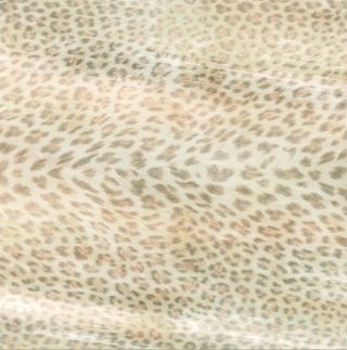 Roberto Cavalli Giaguaro Mask керамогранит Conchiglia Rett. Lapp. 60*60