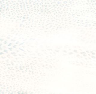 Roberto Cavalli Giaguaro Mask керамогранит Bianco Rett. 60*60