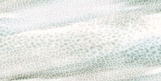 Roberto Cavalli Giaguaro Mask керамогранит Grigio Firma Rett. 120*60