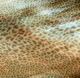 Roberto Cavalli Giaguaro Mask керамогранит Multicolor Lapp. 60*60