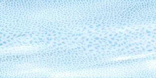 Roberto Cavalli Giaguaro Mask керамогранит Ocean Blu Rett. 120*60