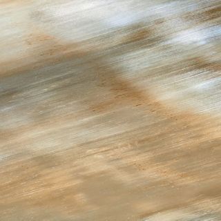 Roberto Cavalli Tanduk керамогранит Multicolor Rett., Lapp. 60*60