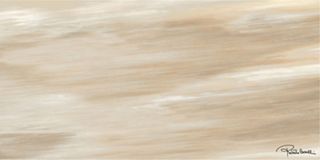 Roberto Cavalli Tanduk керамогранит Conchiglia Firma Rett., Lapp. 120*60