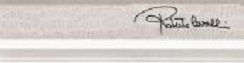 Roberto Cavalli Tanduk бордюр Torello Grigio Firma 19.8*5