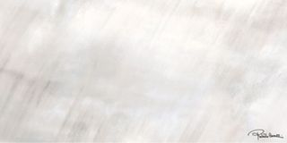 Roberto Cavalli Tanduk керамогранит Grigio Firma Rett. 120*60