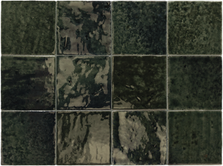 Настенная плитка Black 10*10