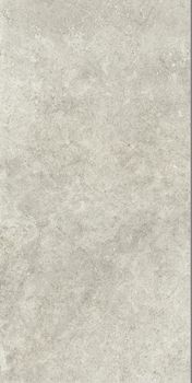 Ragno Richmond керамогранит Taupe C2 60*120*8.5