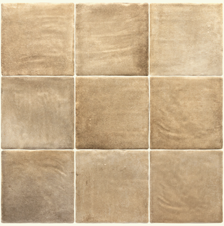 Настенная плитка Cinnamon 10*10