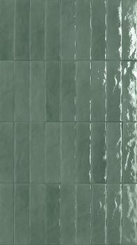 Керамогранит Salvia 6*24*8.5