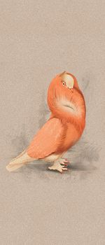 ABK Moooi Nesting Room настенная плитка Special Edition Cloistered Dove 120*280*6