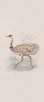 ABK Moooi Nesting Room настенная плитка Special Edition Reiki Rea 120*280*6