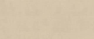 Настенная плитка Ecru 50*120*8.5