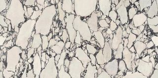 Керамогранит Calacatta Viola Polished 160*320*6