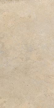 Cercom Stone Vision керамогранит Golden 60*120*9.5