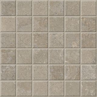 Cercom Stone Vision мозаика Mud 30*30*9.5