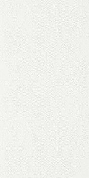 Imola Ceramica Forma настенная плитка CHIC6 12 ZN 60*120*6.5