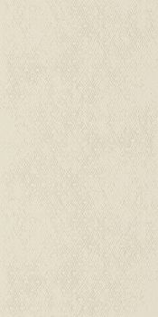 Imola Ceramica Forma настенная плитка CHIC6 12 AV 60*120*6.5