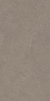 Estima Астеро керамогранит RO 02 60*120*9