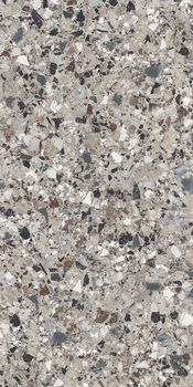 Cerdomus Neoclassica керамогранит Diorite Brushed 60*120*8.5