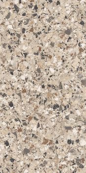 Cerdomus Neoclassica керамогранит Dolomia Lev 60*120*8.5