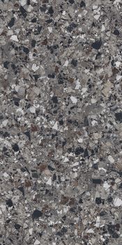 Cerdomus Neoclassica керамогранит Ossidiana Lev 60*120*8.5