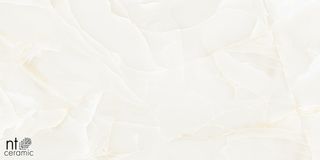 NT Ceramic Onyx керамогранит Predo 60*120*9