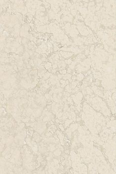 Laminam Russia Rare / Рэа керамогранит Perlino Bianco / Перлино Бьянко DNA 120*300*5.8