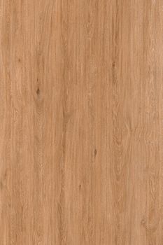 Laminam Russia Zen Wood / Зен Вуд керамогранит Maple / Мэпл 120*300*3.5