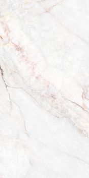 Museum Dahlia керамогранит White Polished 60*120*9
