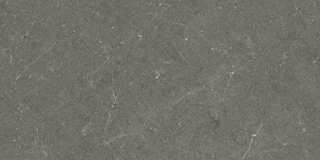 Argenta Ceramica Bergstein керамогранит Dark 60*120*9