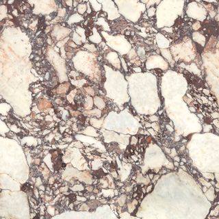 Versace Harmony керамогранит Calacatta Viola 120*120*8.5